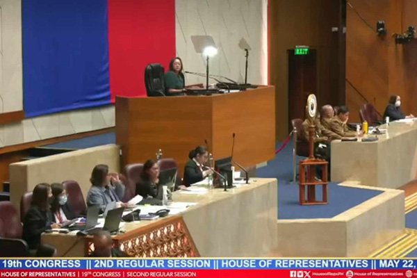 Negros Power Franchise Bill Clears Final Hurdle: Awaiting Presidential Approval