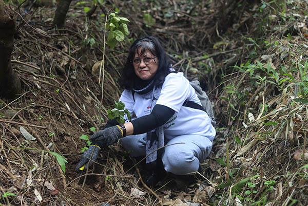 A Commitment To Greener Environment: Sharp Philippines Planted 450 Narra Trees In Mt. Makiling