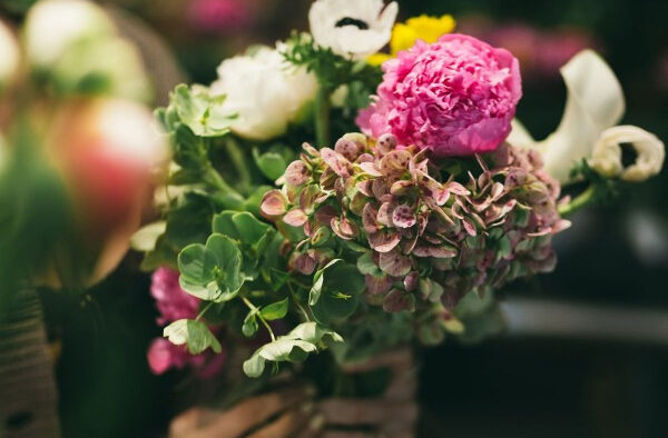 Shopping For Beautiful Bouquets At PlantShed