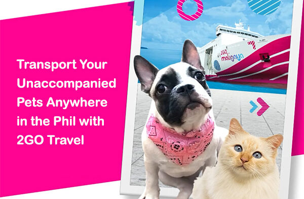 Transport Your Unaccompanied Pets Anywhere In PH With 2GO Travel