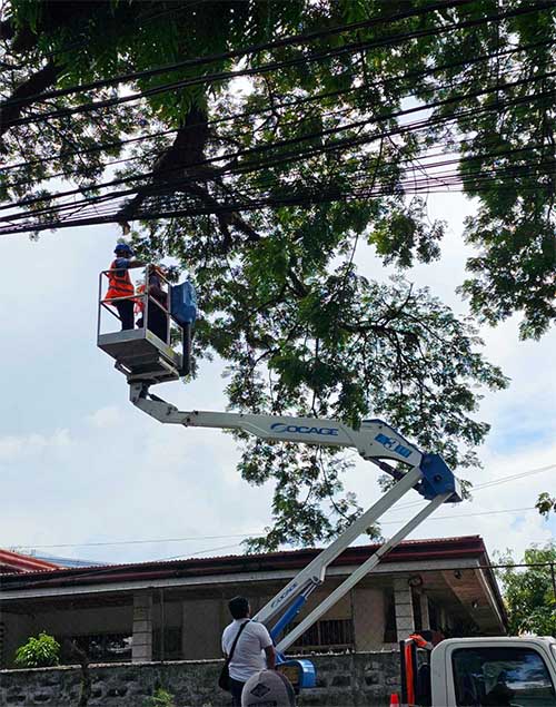 Addressing Brownouts In Central Negros: How Negros Power Is Tackling Vegetation Issues